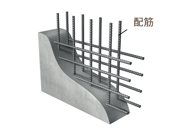 Building structure.  [Double Haisuji body structure] Wall and floor slab, A double reinforcement partnering distribution muscle to double, It has improved the strength of endurance and the precursor to the earthquake.  ※ Except for the precursor wall other than the body structure wall. Some plover reinforcement. (Conceptual diagram)