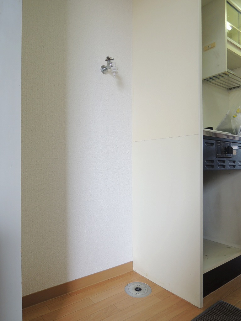 Other room space. Washing machine storage is Rakuchin indoors