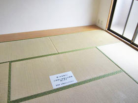 Living and room. There is also a Japanese-style room