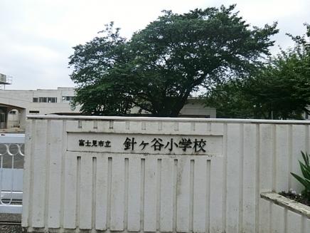 Primary school. Fujimi Municipal Hariya to elementary school 354m