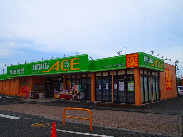 Dorakkusutoa. drag ・ Ace Hazawa shop 498m until (drugstore)