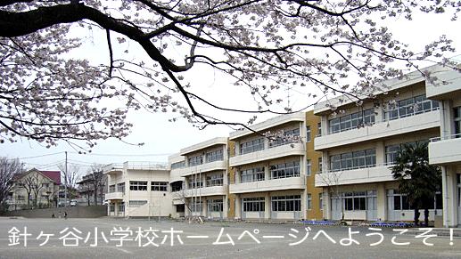 Primary school. Fujimi Municipal Hariya to elementary school 826m