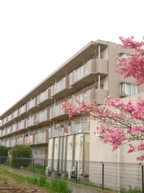 Building appearance. Southeast-facing apartment. 