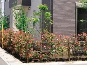 Place the expressive planting with a height difference in each building. Continuity of each building of planting is, Should create a high-quality space to heal the hearts of live family (one example planting)