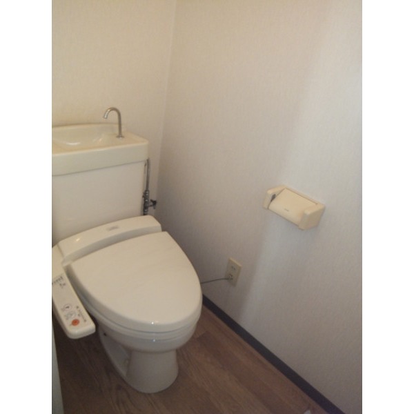 Toilet. Bidet