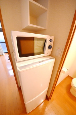 Other.  ☆ Furnished Home Appliances ☆