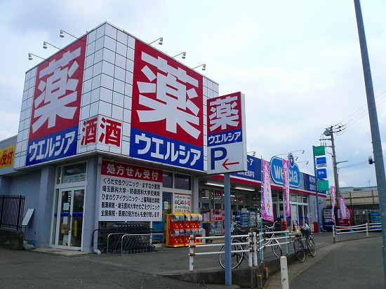 Dorakkusutoa. Uerushia Fujimi Watado shop 792m until (drugstore)