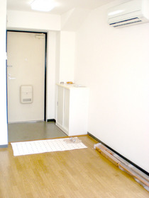 Entrance. Shoes BOX