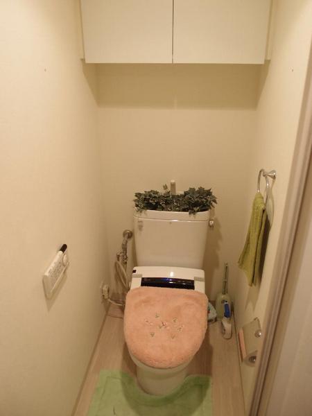 Toilet. There is a bidet. Also, Cupboard hanging at the top is provided. Accessories, etc. are not included in the sale.