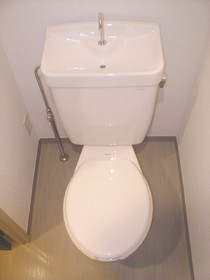Toilet. Independent toilet.