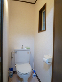 Toilet. Toilet