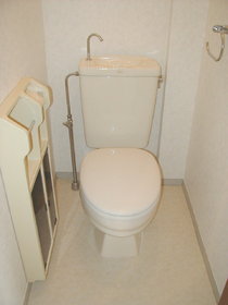 Toilet. Toilet