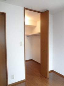 Living and room. Walk-in closet with depth