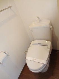 Toilet. Heating toilet seat with a certain and happy cleaning function