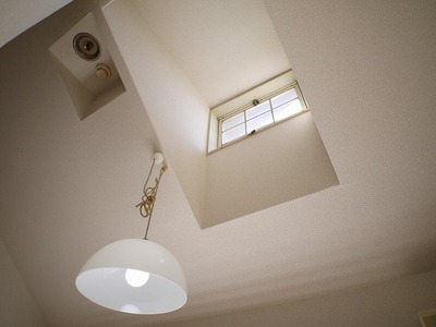 Other. Yes skylight.