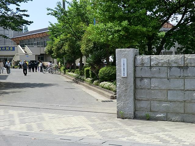Junior high school. Fujimino Municipal Ashihara until junior high school 610m