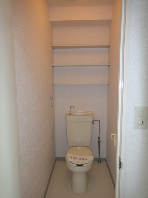 Toilet. Convenient shelf with toilet