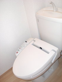 Toilet. With washing heating toilet seat