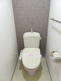 Toilet. Warm water washing toilet seat