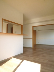 Living and room. You can use spacious if you open the sliding door.