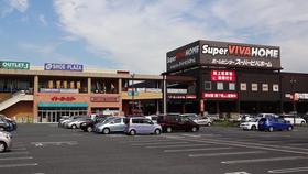 Supermarket. 612m until the Super Viva Home (Super)