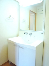 Washroom. Large washbasin.