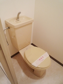 Toilet. It is clean toilets