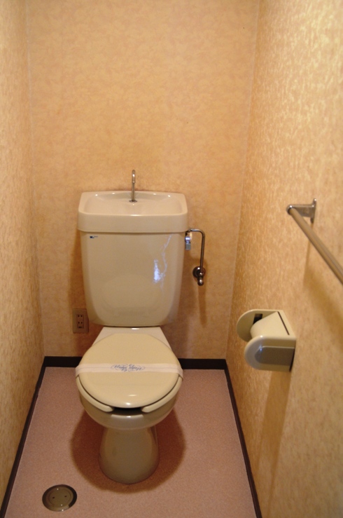 Toilet