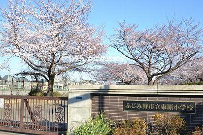 Primary school. Fujimino Municipal Higashihara to elementary school 210m