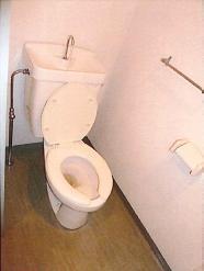 Toilet. Toilet