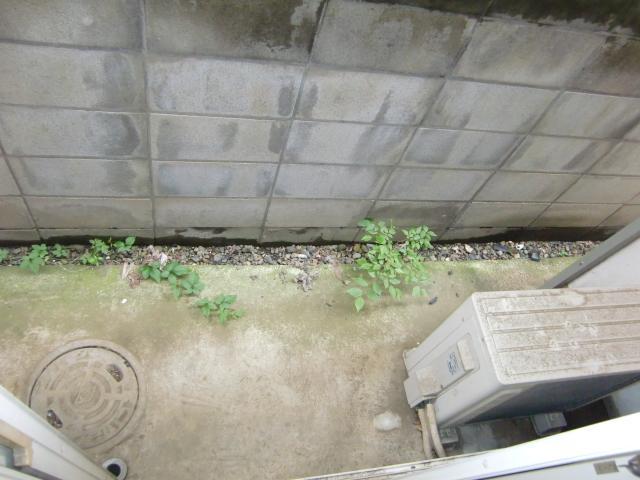 Balcony. Balcony
