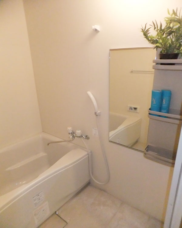 Bath. Model is room. Furniture, etc. are not included. 