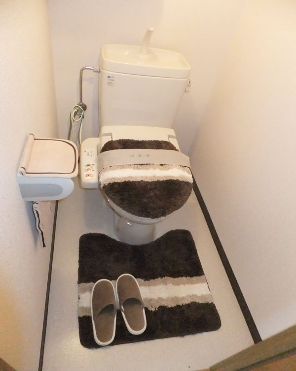 Toilet. Model is room. Furniture, etc. are not included. 