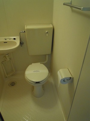 Toilet. Toilet
