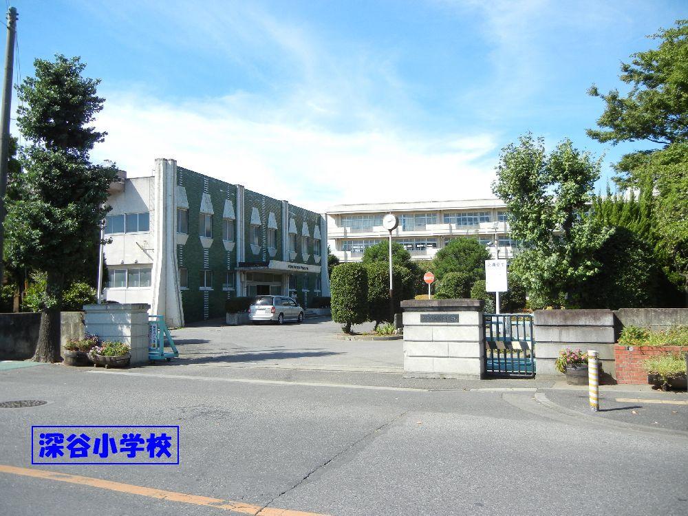 Primary school. Fukaya elementary school About 700m