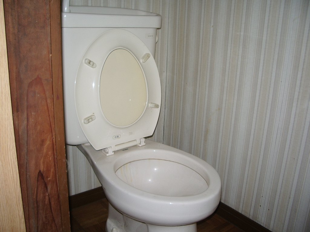 Toilet