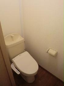 Toilet. Warm water washing toilet seat installation