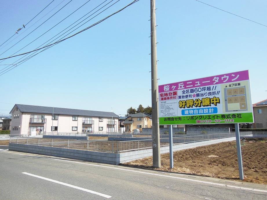 Local photos, including front road