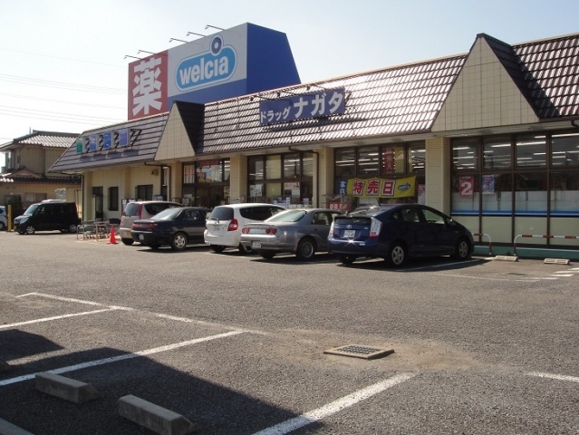 Dorakkusutoa. Drugstore Nagata Gyoda Tanigo store up to (drugstore) 10m