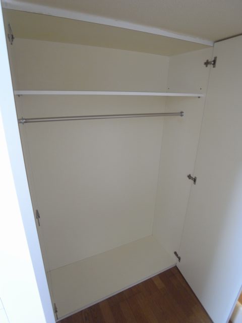 Other room space. Closet under the stairs