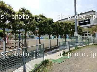 kindergarten ・ Nursery. 569m until Hanno Tachihara market nursery