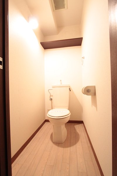 Toilet. Some differences there per room difference photo
