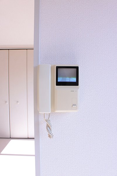 Security. Monitor with intercom