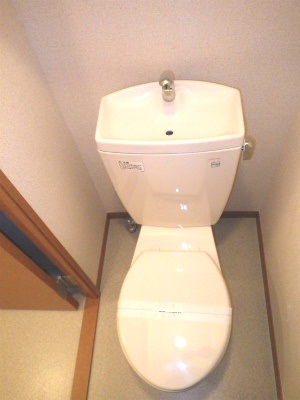 Toilet. Simple your toilet cleaning a breeze! 