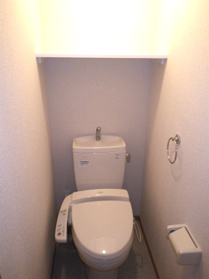 Toilet. It is your toilet of happy warm water washing toilet seat!