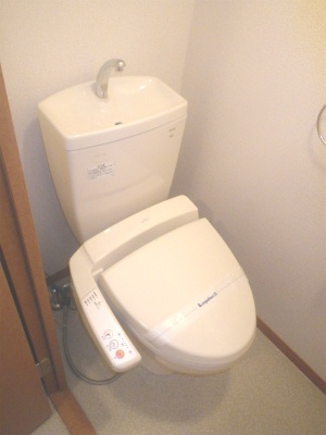 Toilet. It is your toilet of happy warm water washing toilet seat!