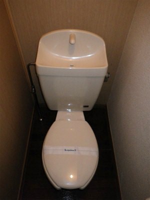 Toilet. Simple and clean Easy