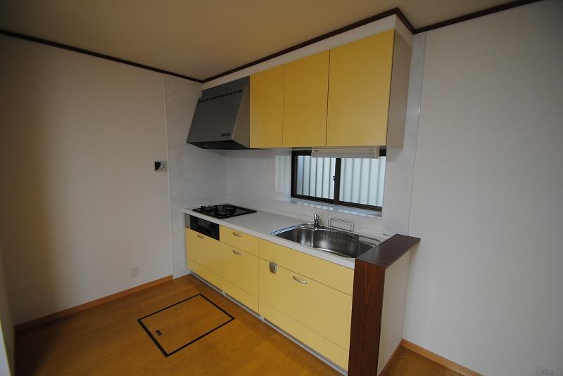 Kitchen. Indoor (11 May 2013) Shooting