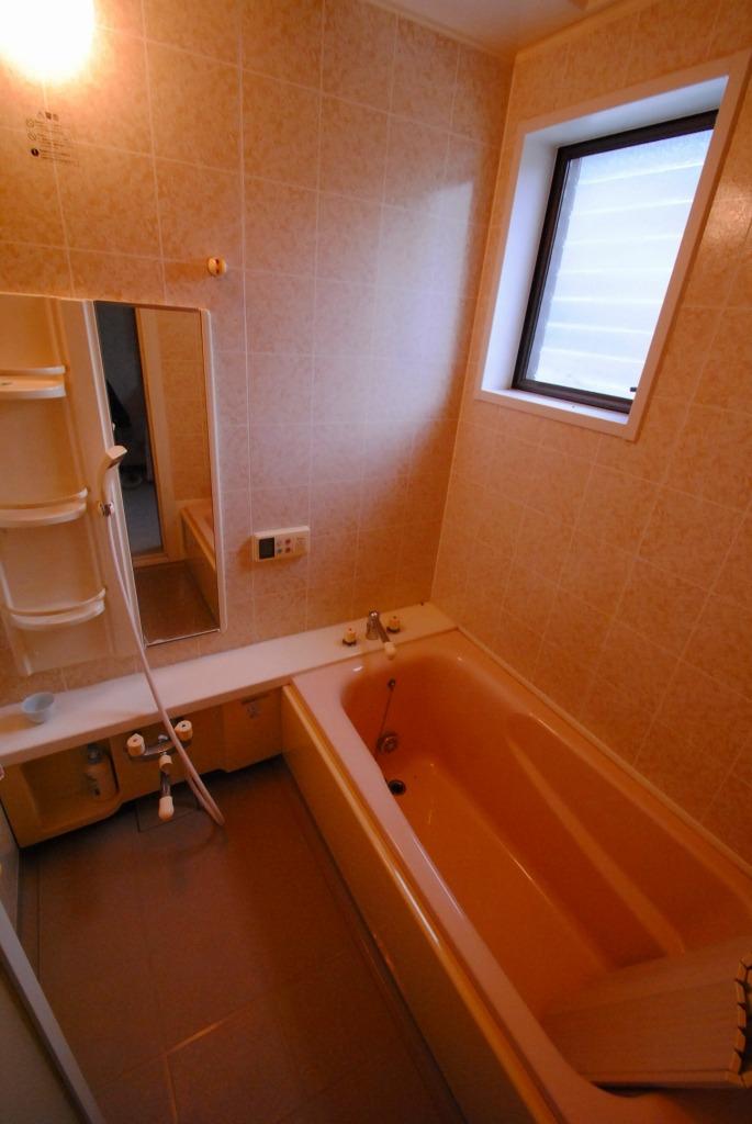 Bathroom. Indoor (10 May 2013) Shooting