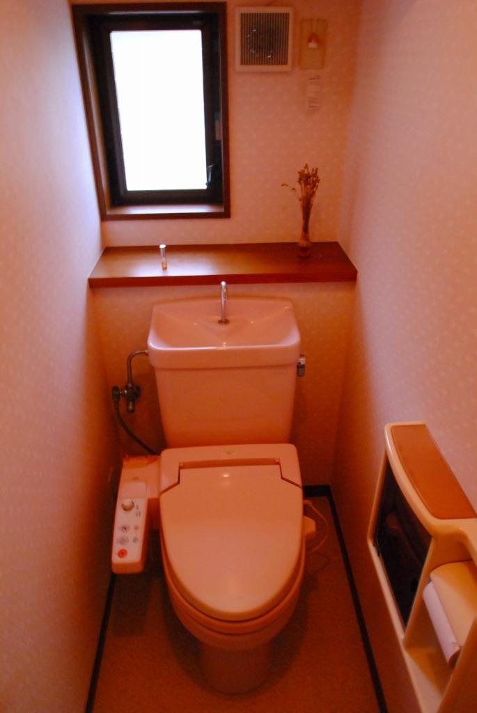 Toilet. Indoor (10 May 2013) Shooting